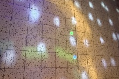 IMG_8739